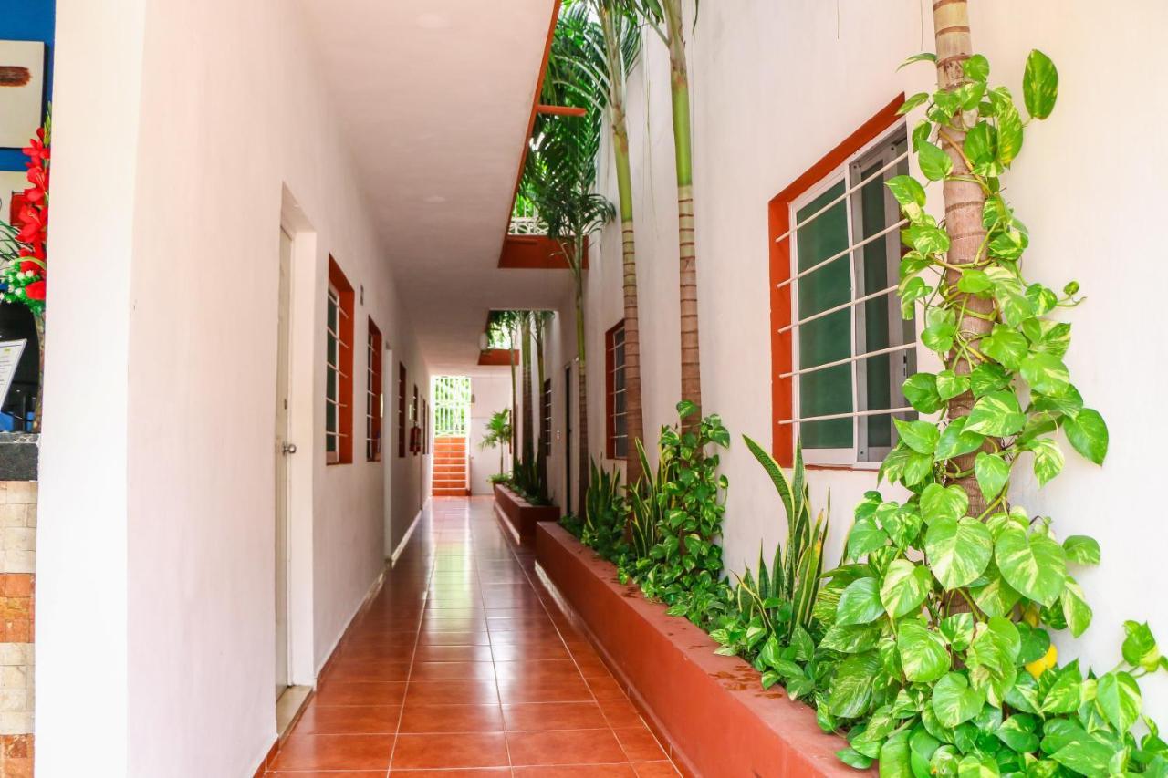 Gayser Apartamentos Valladolid  Exteriör bild