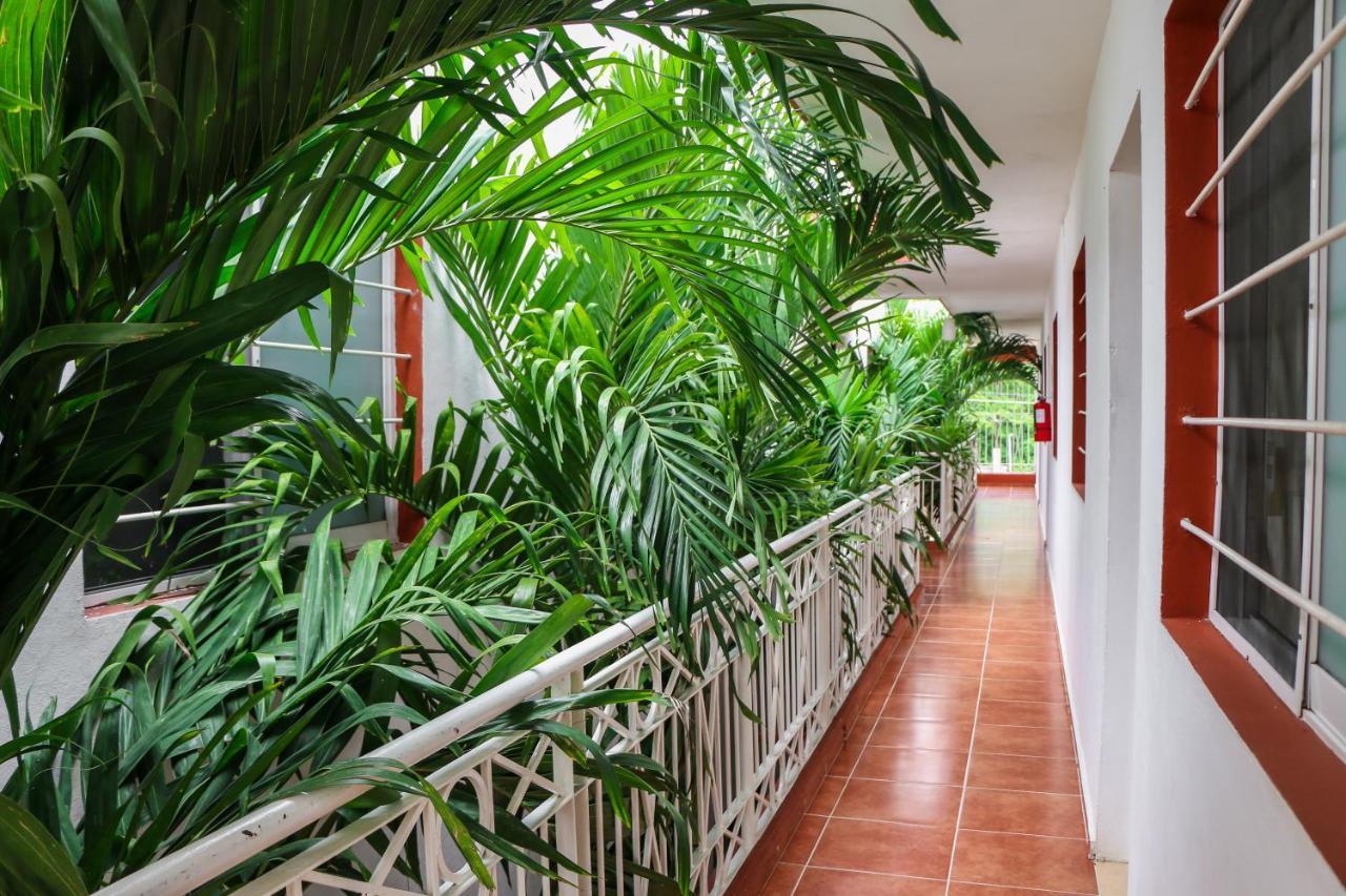 Gayser Apartamentos Valladolid  Exteriör bild